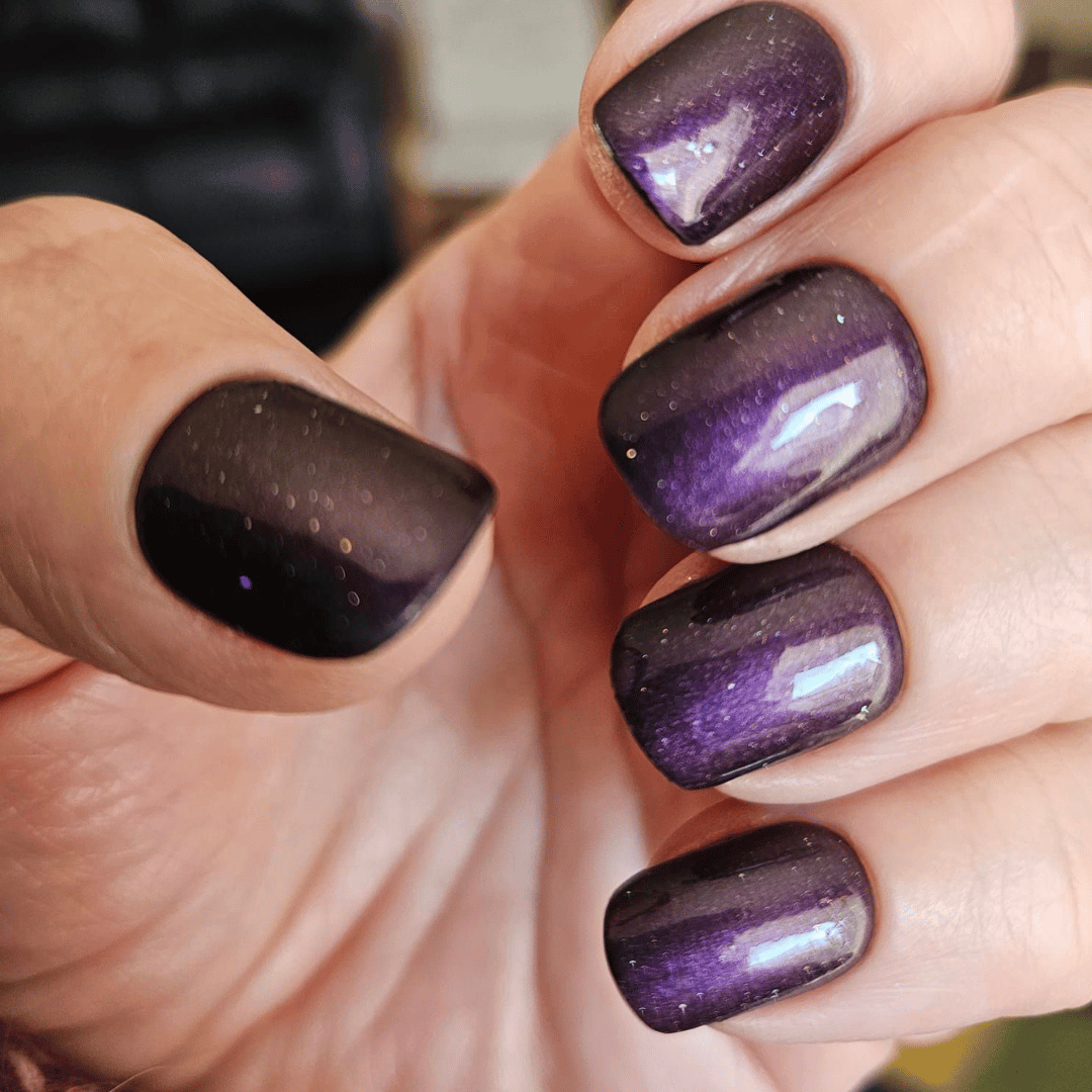 Boysenberry - Classic