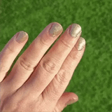 Champagne – Classic Nail Powder - Vorbestellung