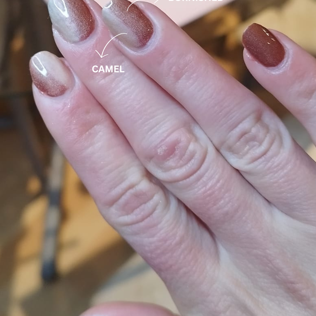 Camel - Classic Nail Powder