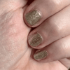 Champagne – Classic Nail Powder