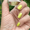 Daffodil – Classic Nail Powder